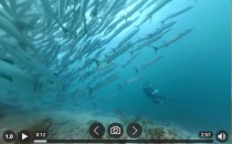 【免费软件】同时可以看全景视频+全景图播放器
